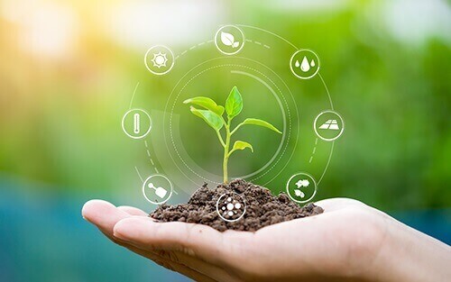 Sabour Agri, Sabour Agri Incubators (Sabagris)