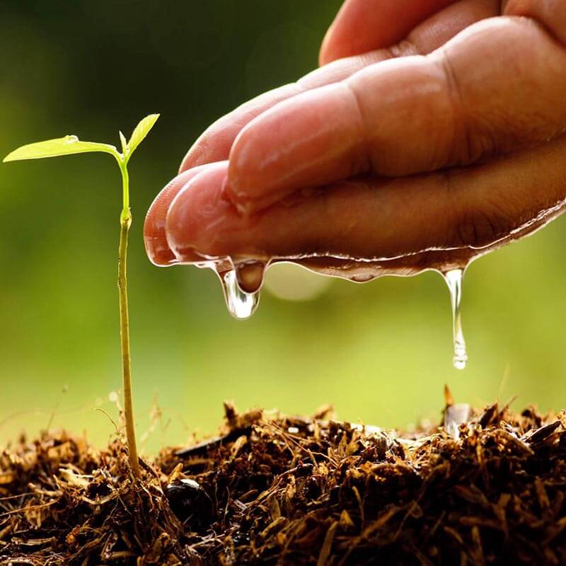 gallery of sabour agri incubators (Sabagris)