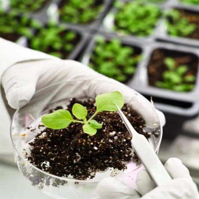 gallery of sabour agri incubators (Sabagris)