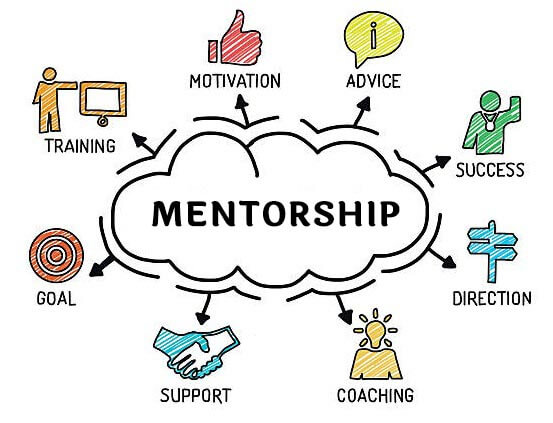 Mentorship form Domin Experts