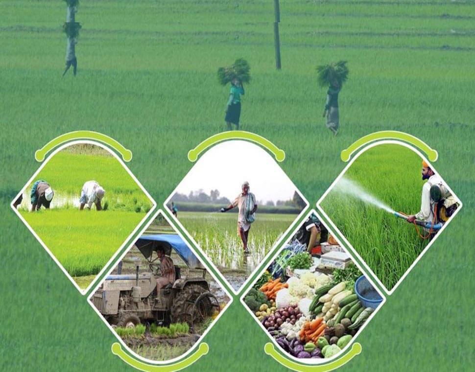 mission of Sabour Agri, Sabour Agri Incubators (Sabagris)