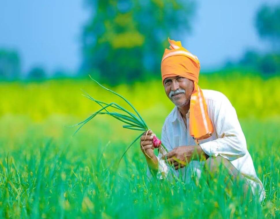 vission of Sabour Agri, Sabour Agri Incubators (Sabagris)