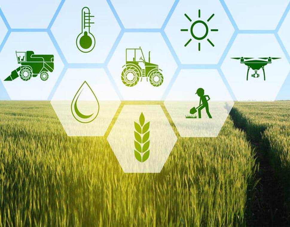 our focus of Sabour Agri, Sabour Agri Incubators (Sabagris)